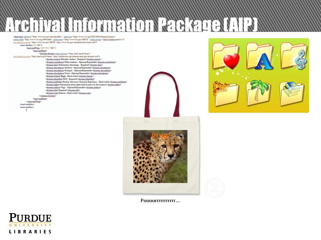 Archival Information Package (AIP)