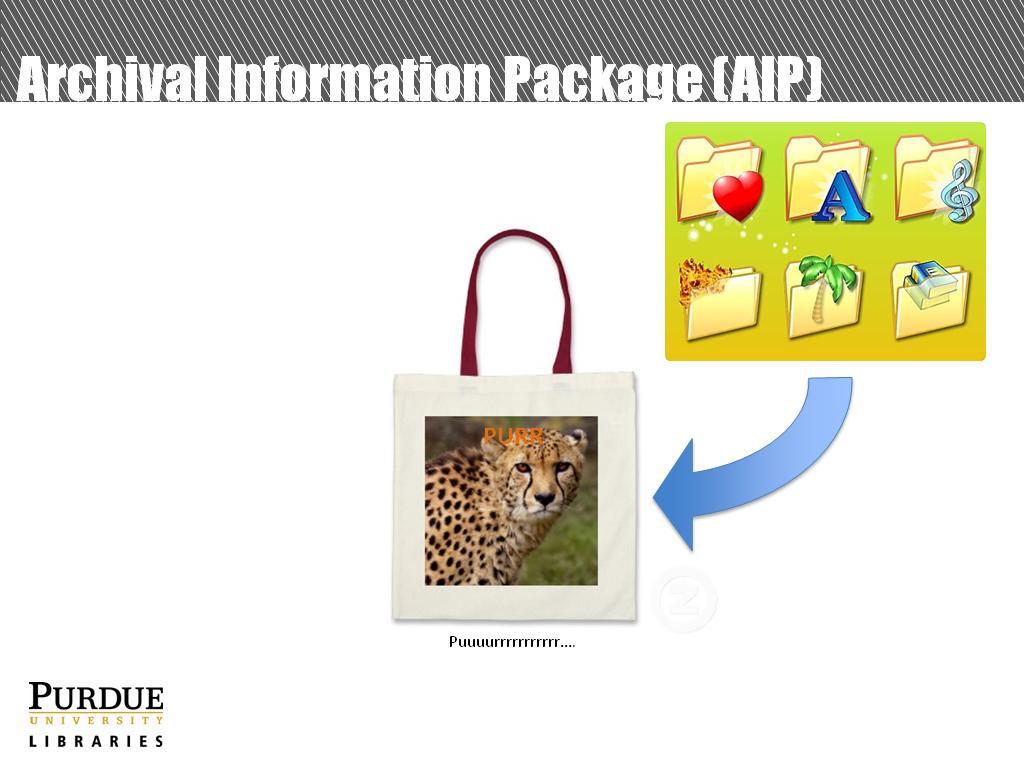 Archival Information Package (AIP)