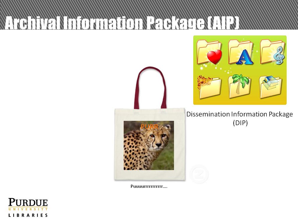 Archival Information Package (AIP)