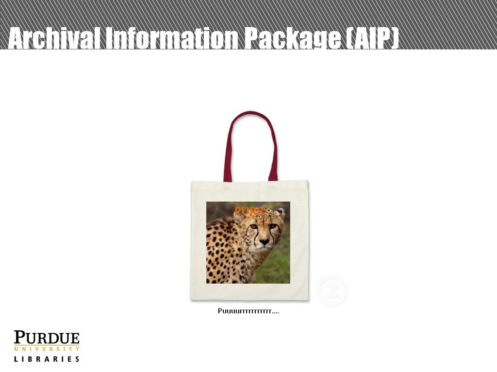 Archival Information Package (AIP)