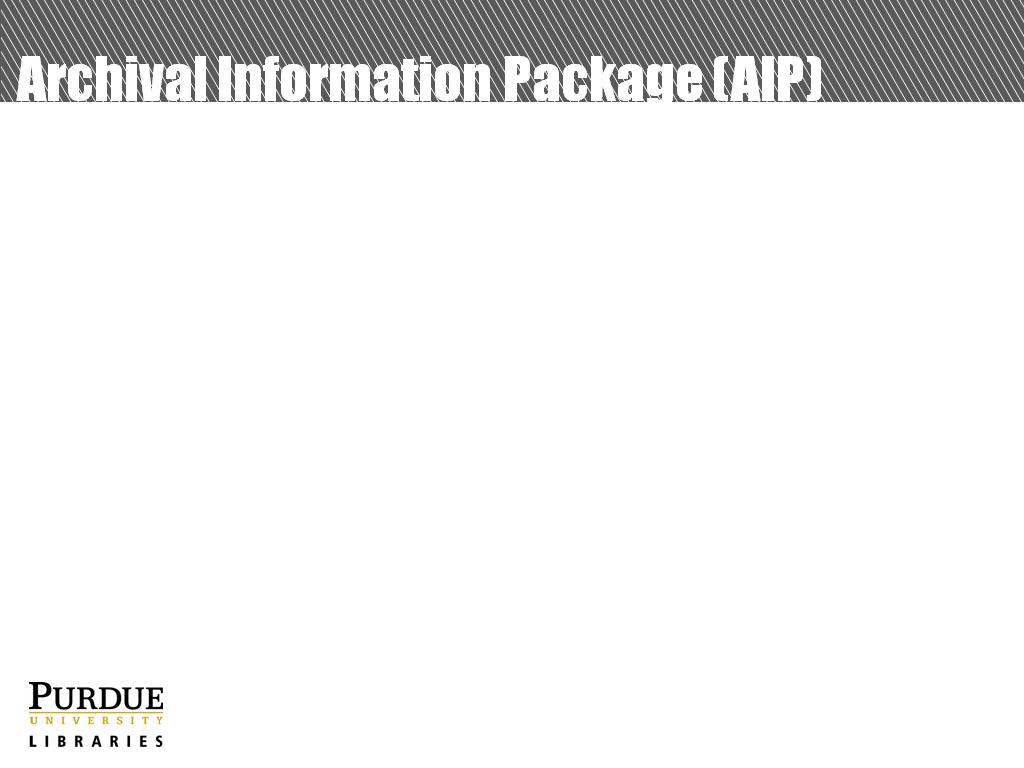 Archival Information Package (AIP)