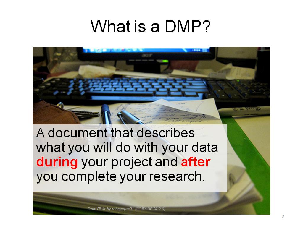 What is a DMP?
