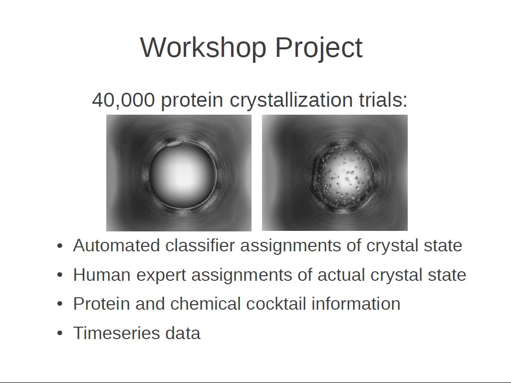 Workshop Project 40,000 protein crystallization trials: