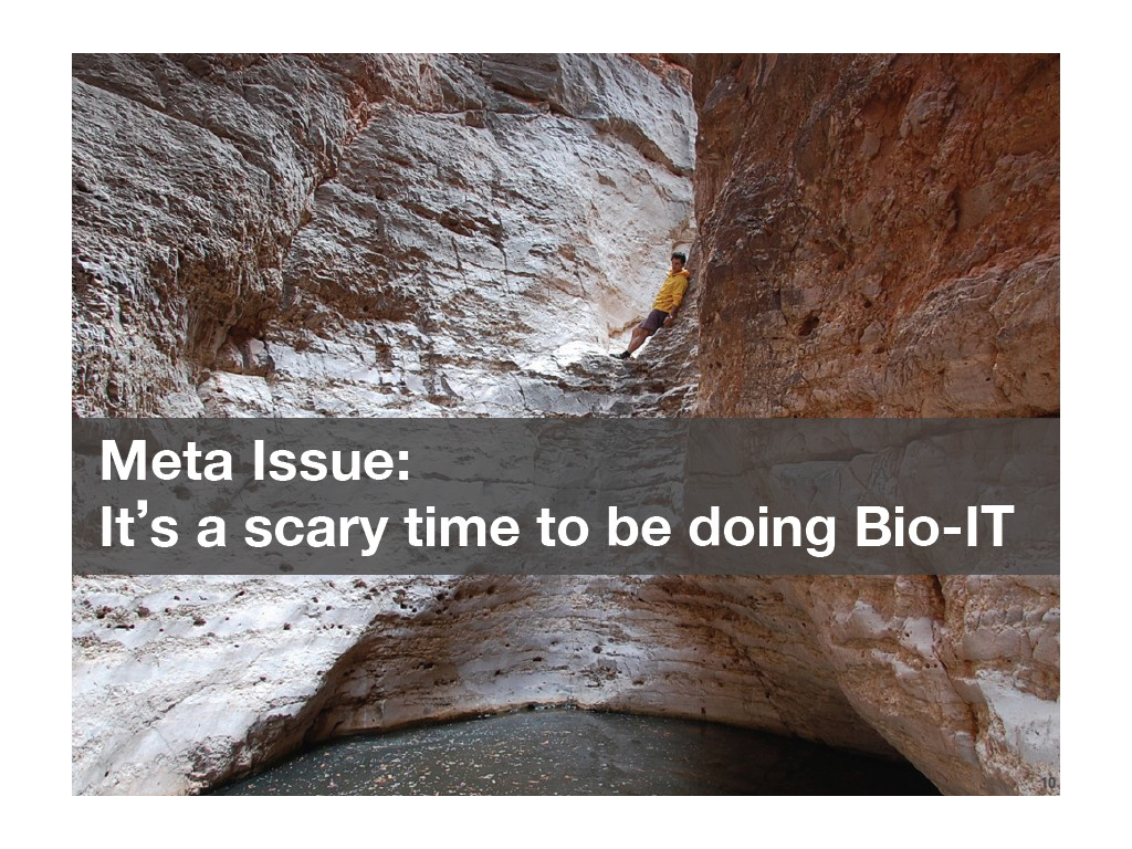 Meta Issue: It is a scary time to be doing Bio-IT