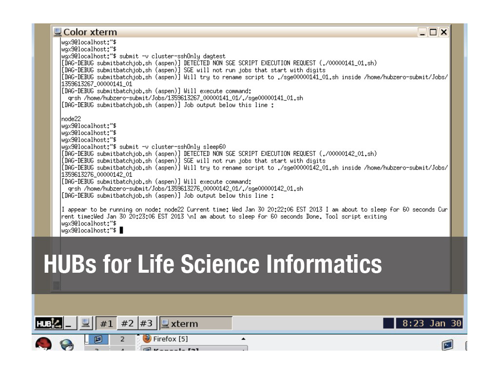 HUBs for Life Science Informatics